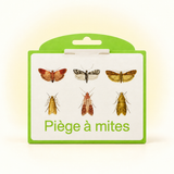 
1 piège